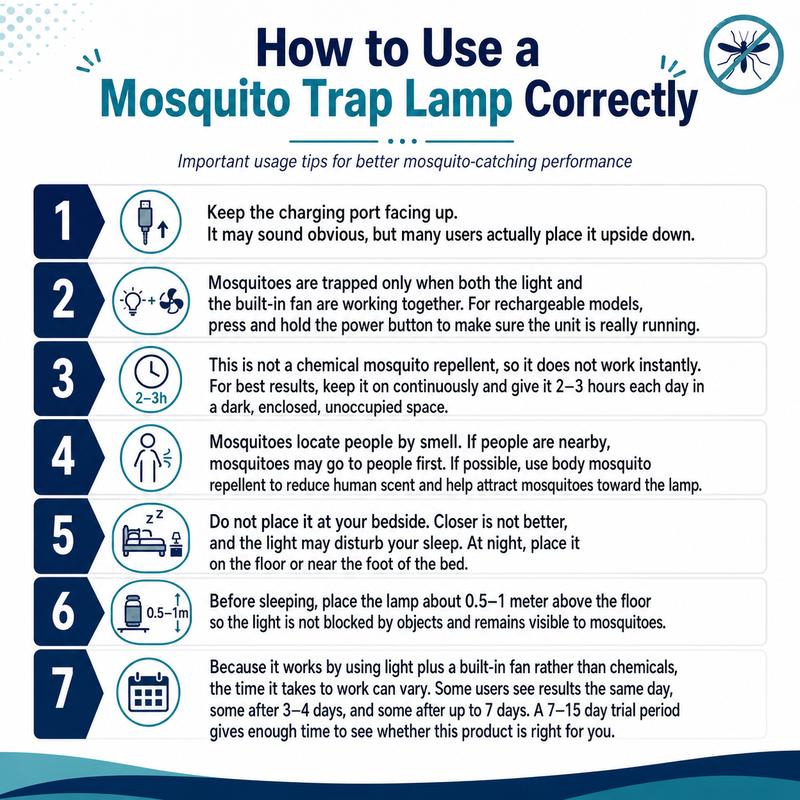 Dozy Fly Trap